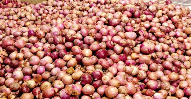 onion and vegetable prices